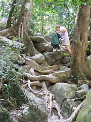 237 Mossman Gorge